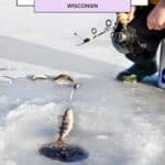 a person is holding a fish on the line on ice